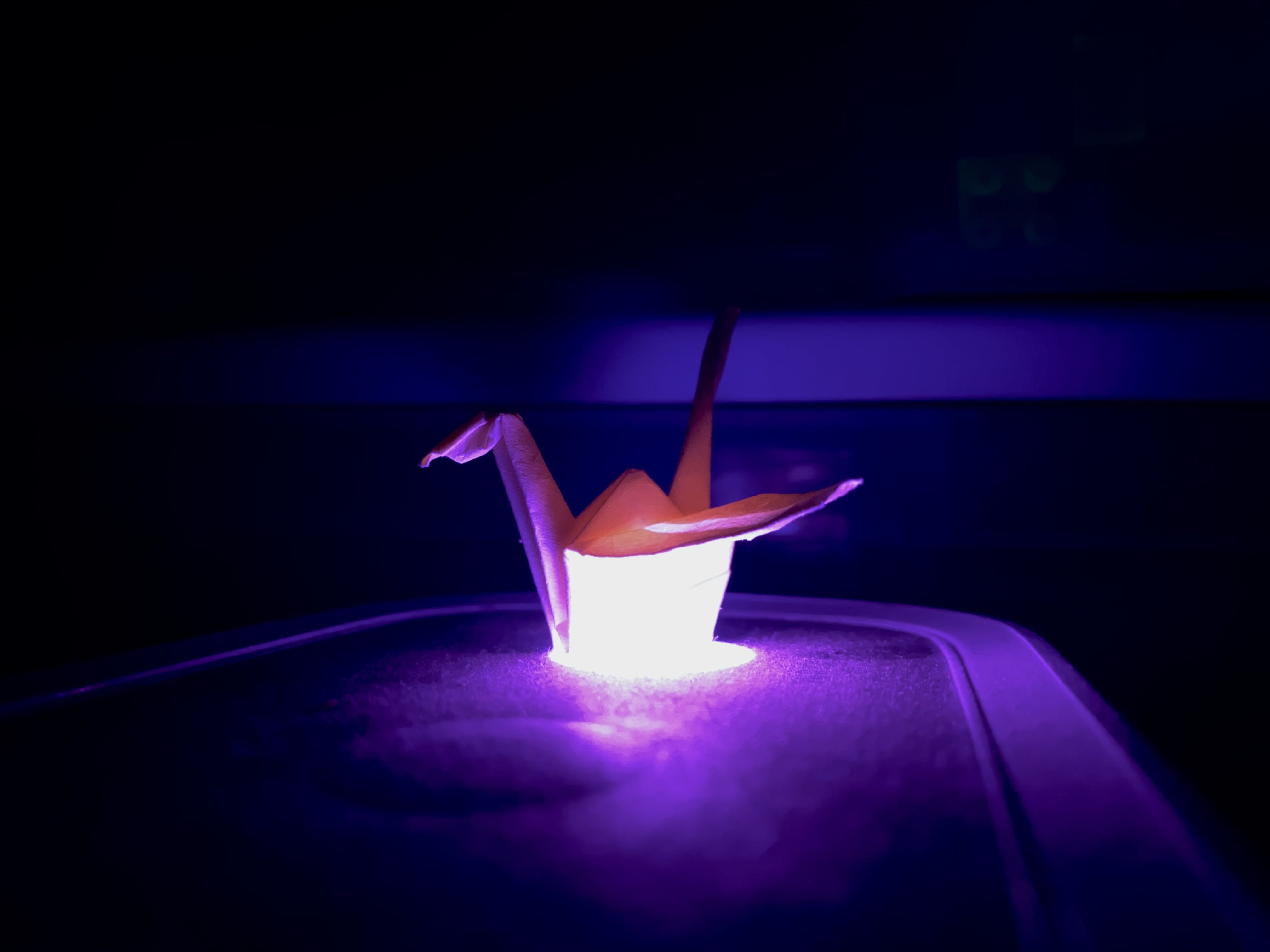 Purple Crane